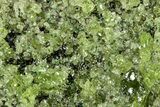 Peridot Crystals in Basalt - Arizona #355064-1